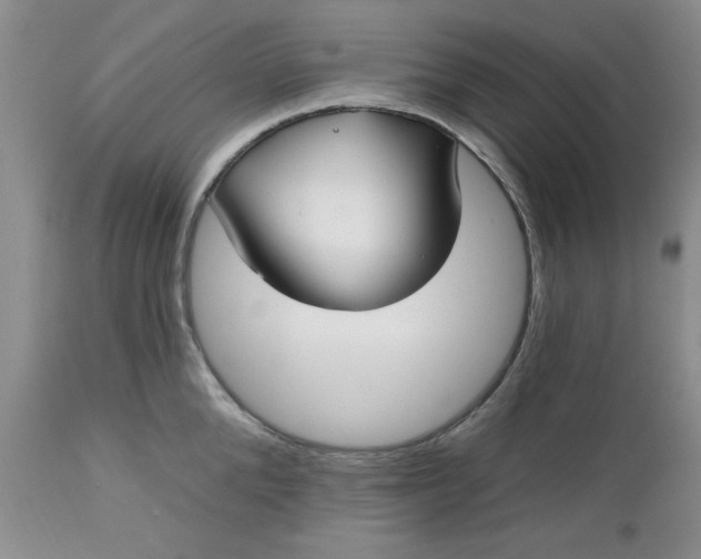 X0000112540904200908311444