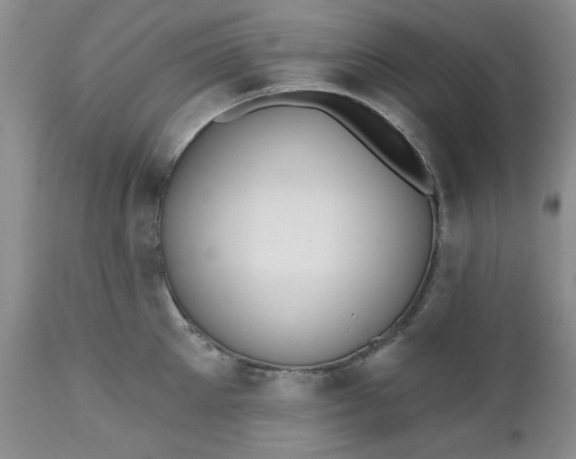 X0000112540905200908311444