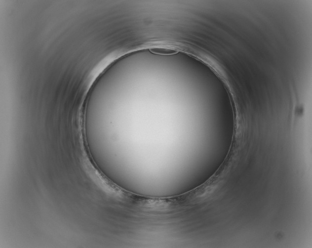 X0000112540907200908311444