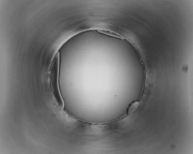 X0000112540908200908311444