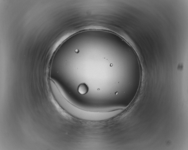 X0000112540909200908311443