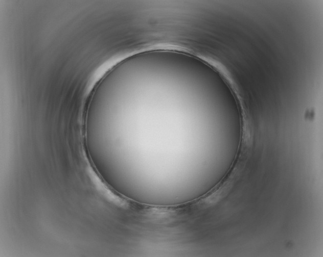 X0000112540910200908311443