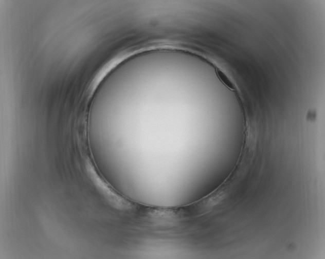 X0000112540911200908311443