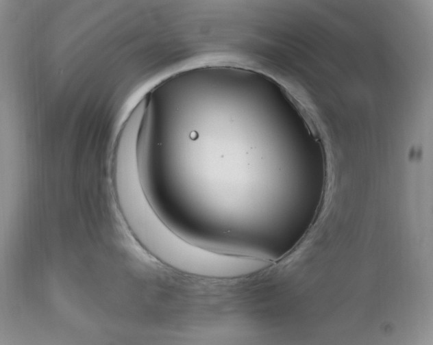 X0000112540912200908311443