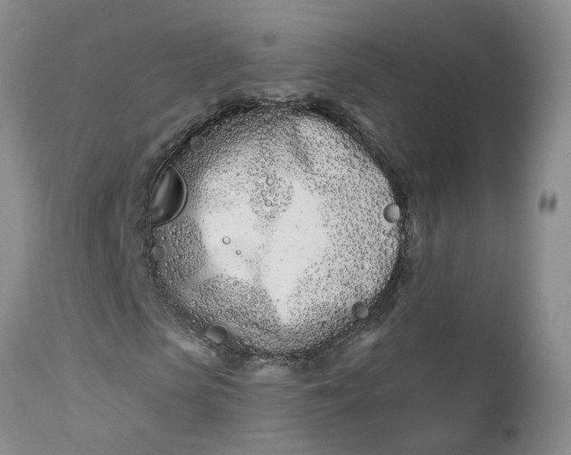 X0000112540913200908311443