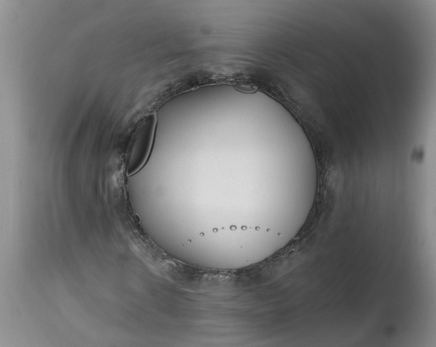 X0000112540914200908311443