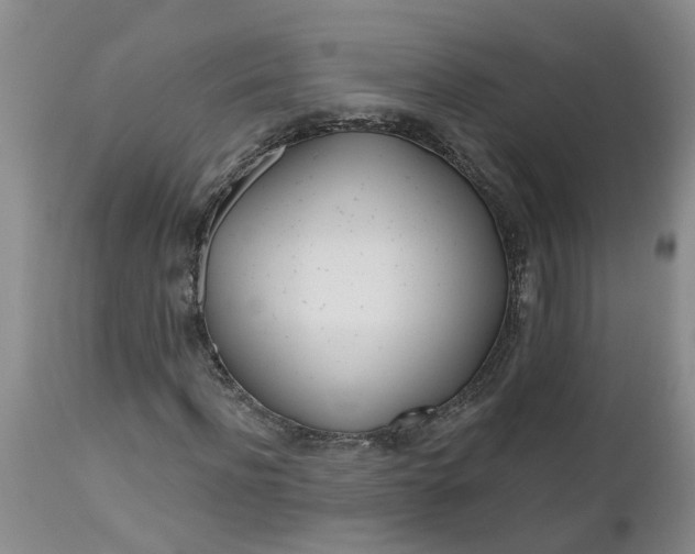 X0000112540916200908311443