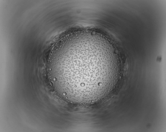X0000112540917200908311443