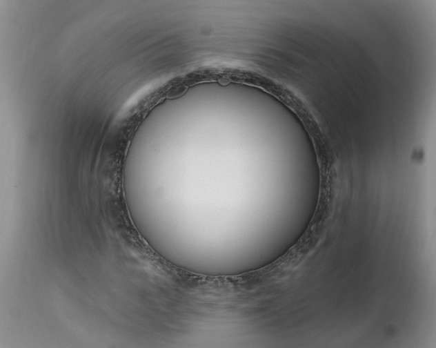 X0000112540919200908311443