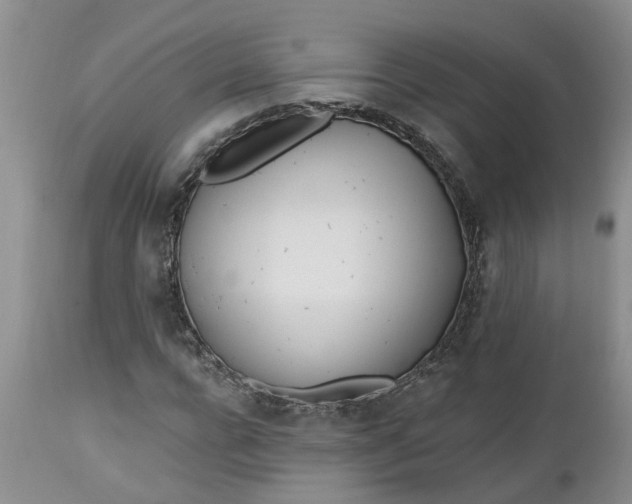X0000112540920200908311443