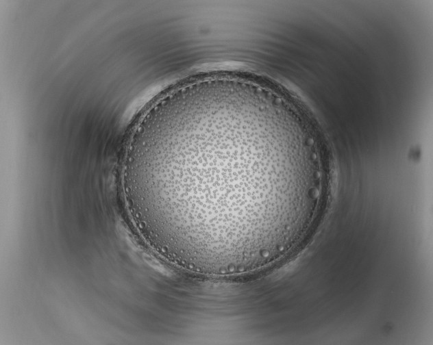 X0000112540921200908311443