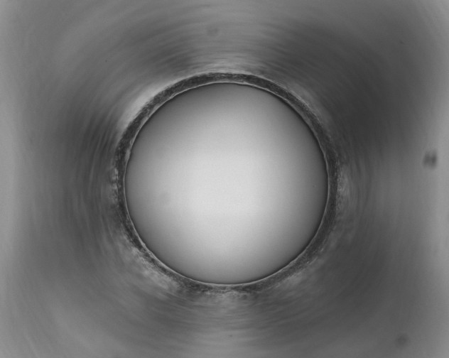 X0000112540926200908311443