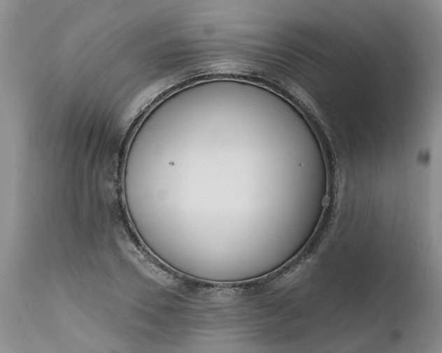 X0000112540930200908311443