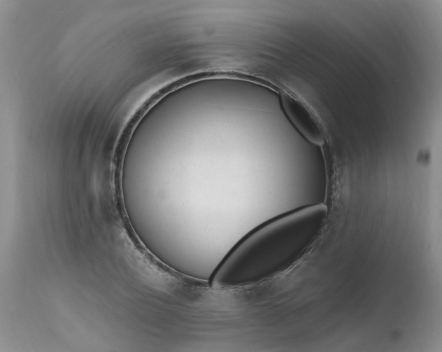 X0000112540932200908311443