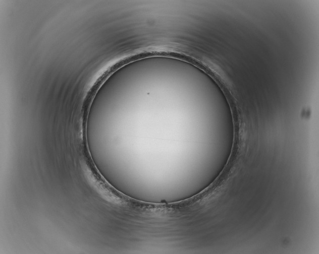 X0000112540934200908311443