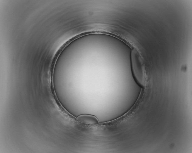 X0000112540936200908311443