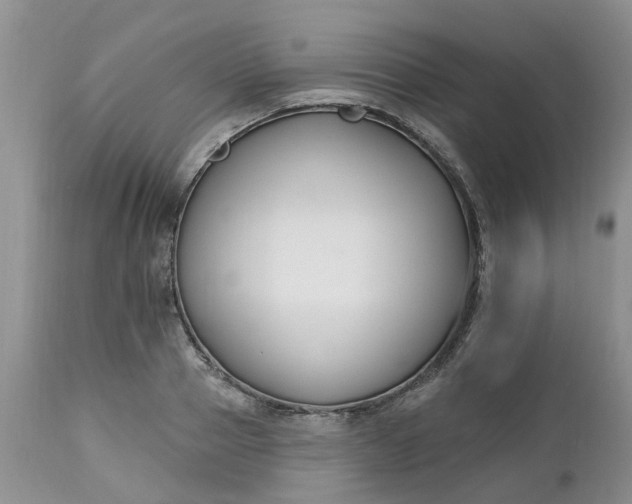 X0000112540937200908311443