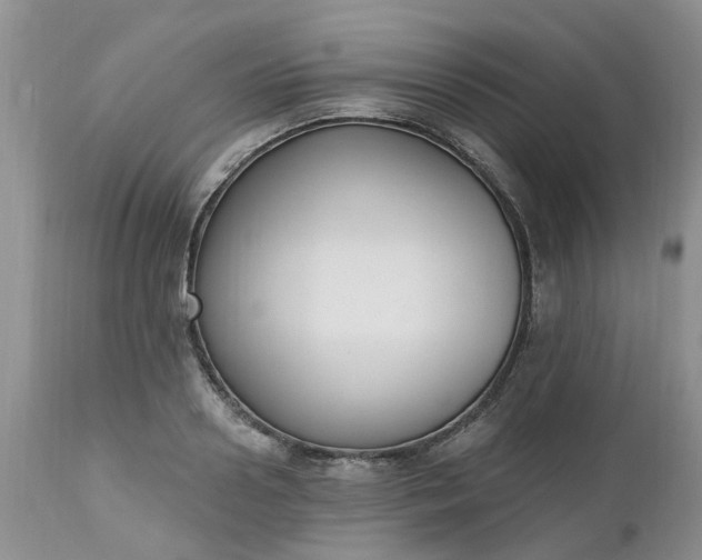 X0000112540938200908311443
