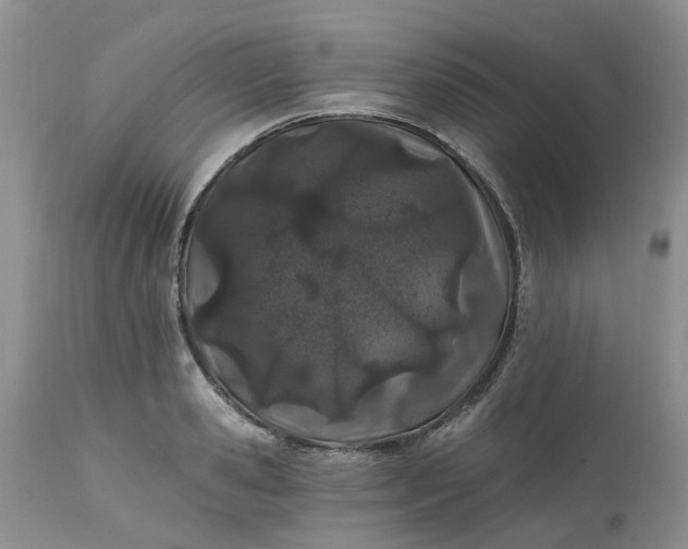 X0000112540941200908311443