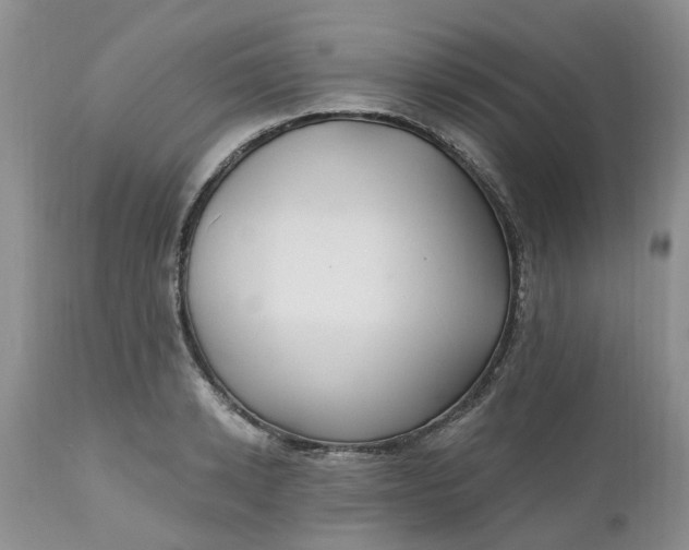X0000112540942200908311443