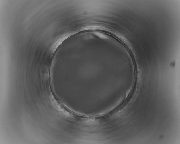 X0000112540945200908311443