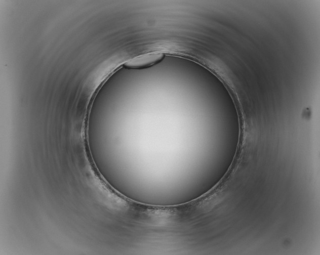 X0000112540946200908311443