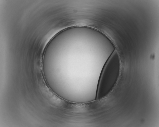 X0000112540948200908311443