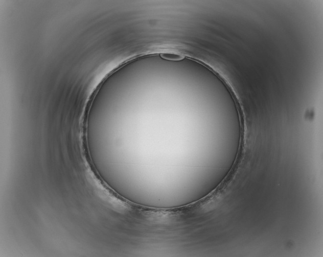 X0000112540949200908311443