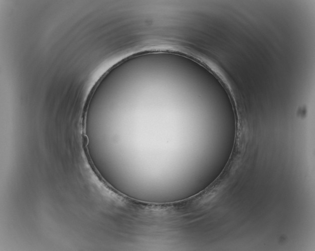 X0000112540951200908311443