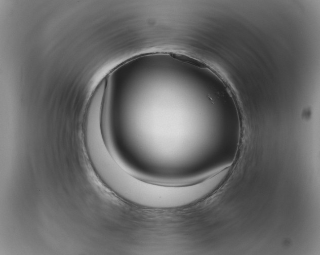 X0000112540952200908311443