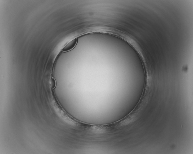 X0000112540954200908311443
