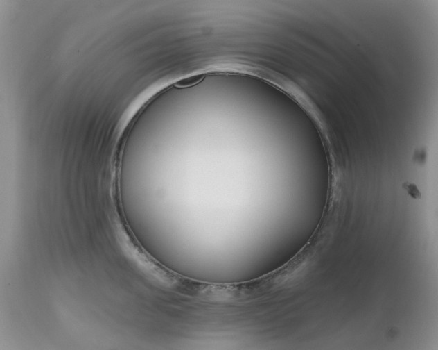 X0000112540955200908311443