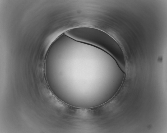 X0000112540956200908311443