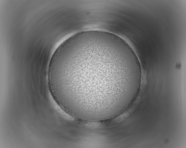 X0000112540957200908311443