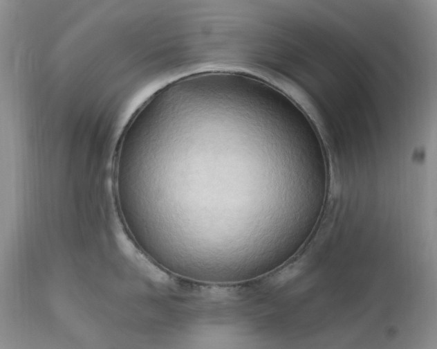 X0000112540958200908311443