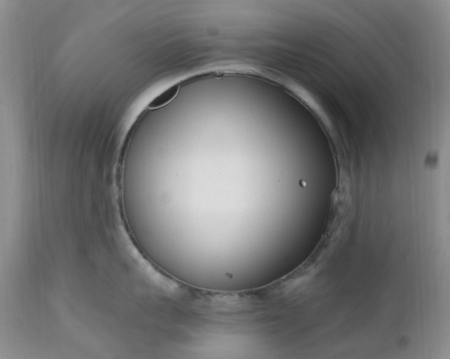X0000112540959200908311443