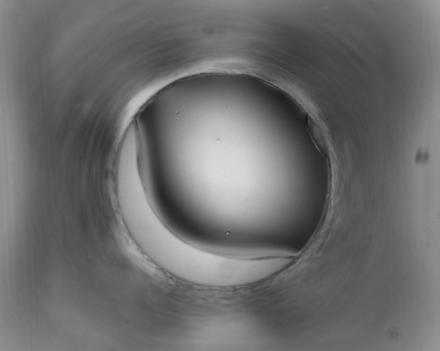 X0000112540960200908311443