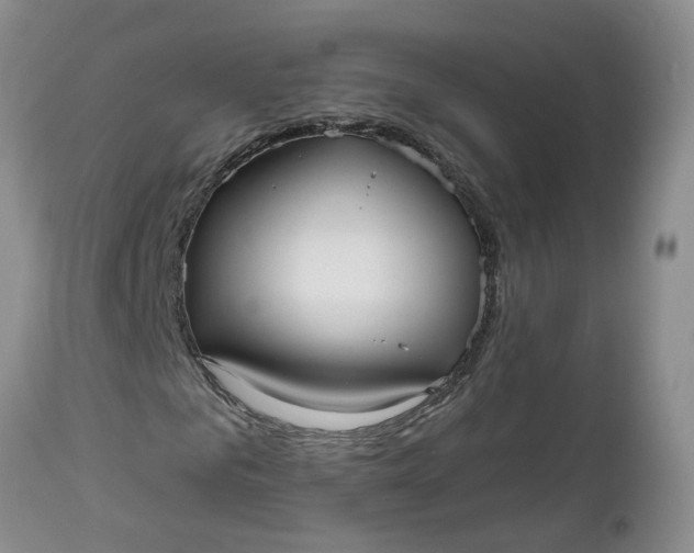X0000112540961200908311443