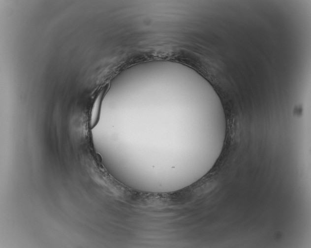 X0000112540962200908311443