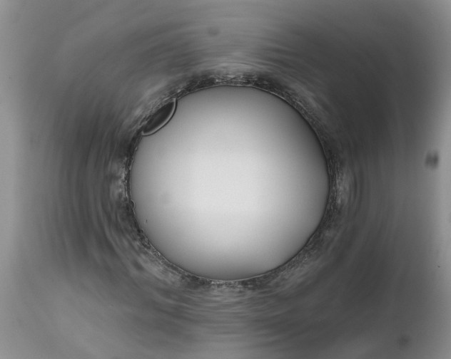 X0000112540964200908311443