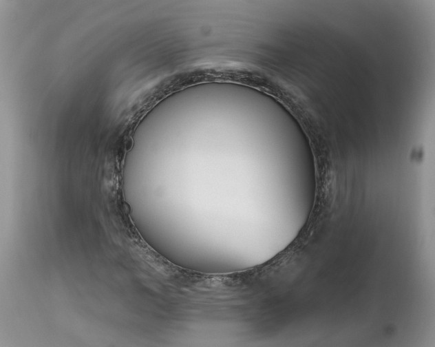 X0000112540966200908311443