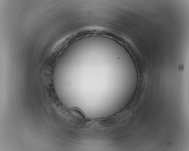 X0000112540967200908311443