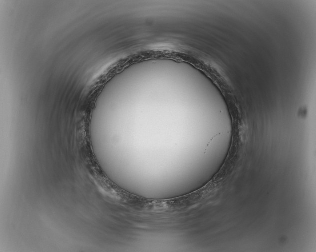 X0000112540968200908311443