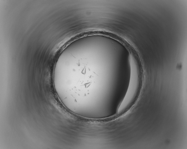 X0000112540969200908311442