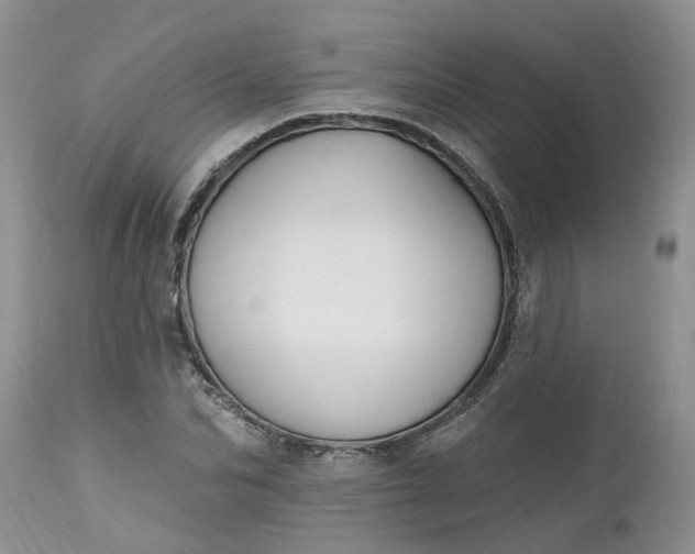 X0000112540974200908311442