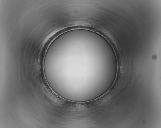 X0000112540975200908311442