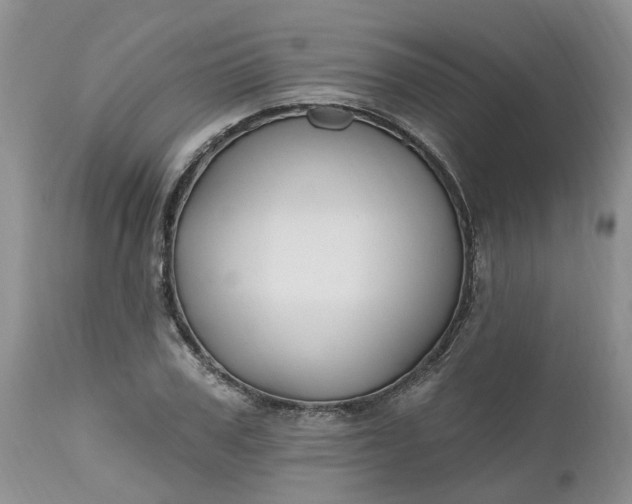 X0000112540979200908311442