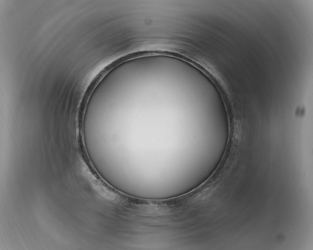X0000112540980200908311442