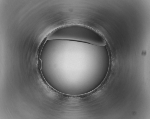 X0000112540981200908311442