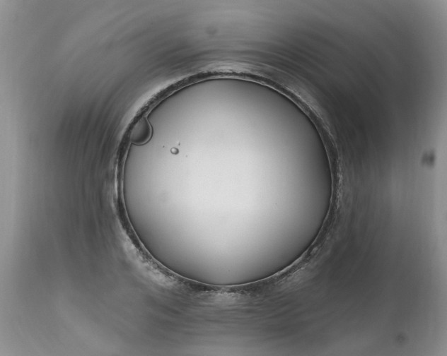 X0000112540984200908311442